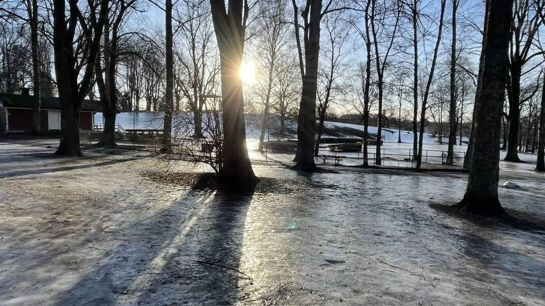 Hålke i Torshovparken.