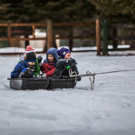 Gå til 48 tips til klimavennlige julekalendergaver