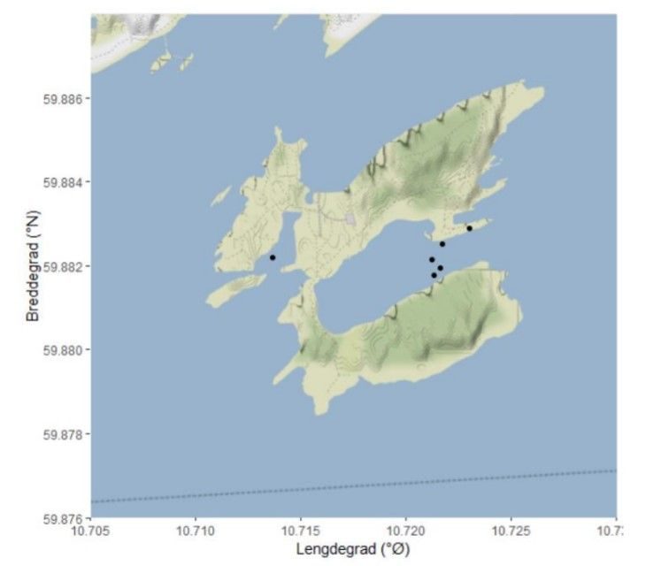 kart punkter ved Gressholmen som ble undersøkt på befaring. NIVA ålegraseng