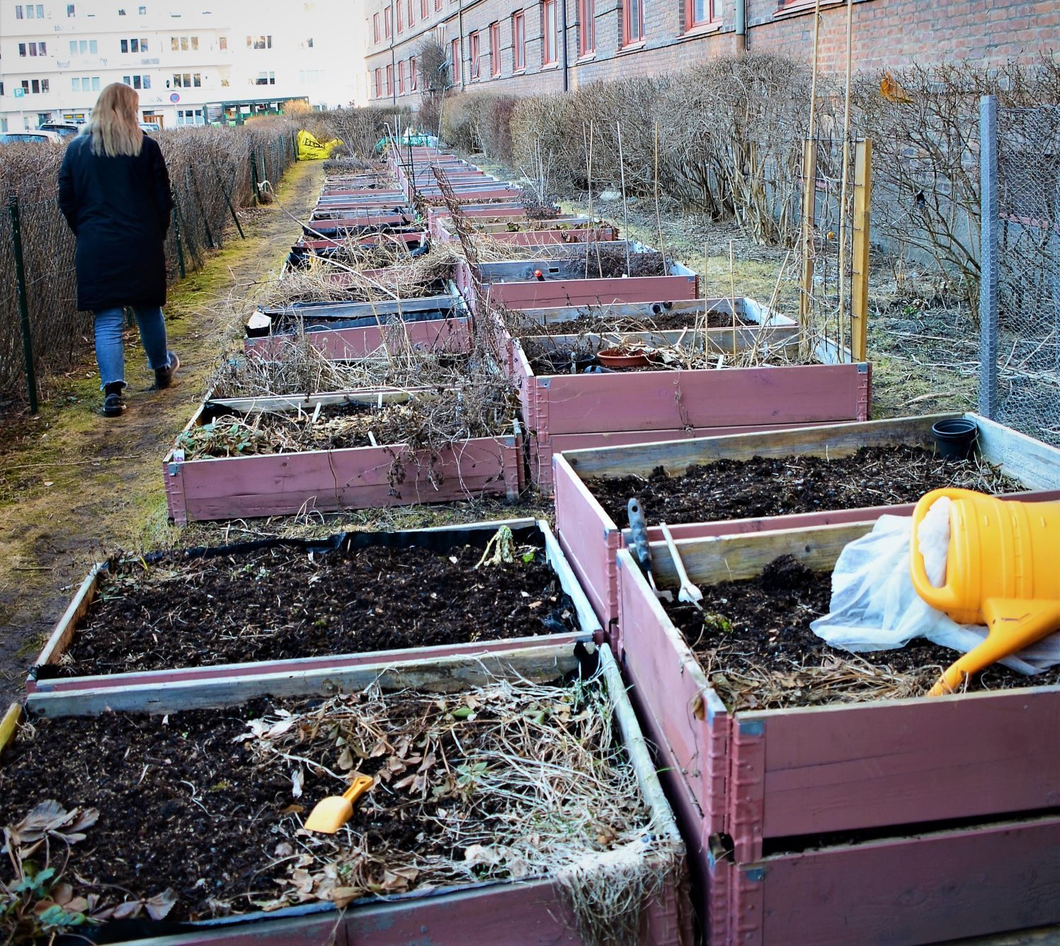 dyrking: plantekasser