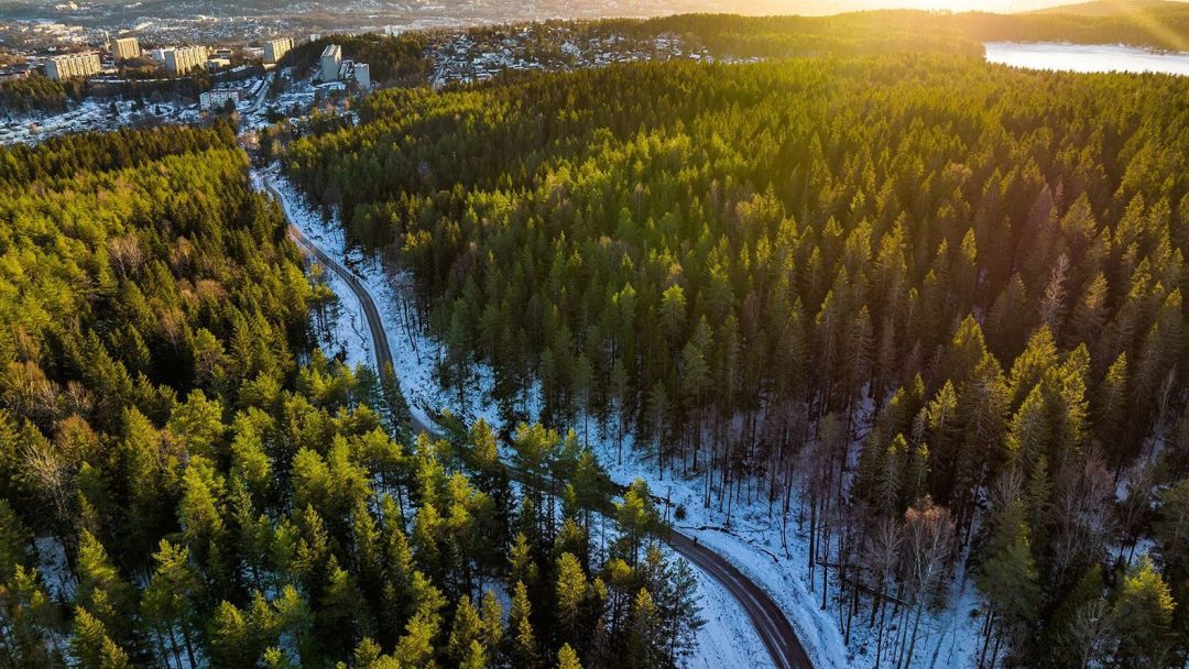 Ammerud og Lilloseter sett overnfra, grønne trær og hvite skogsstier.