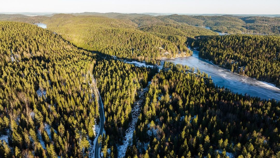 Skog i fugleperspektiv. Masse trær og litt snødekket landskap.