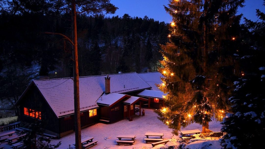 Koselig hytte i kveldsskumring, med lys på grantre ved siden av. Og lys i stua.