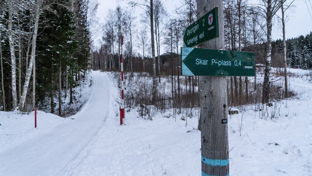 Grønne og lyseblå veiskilt i marka.