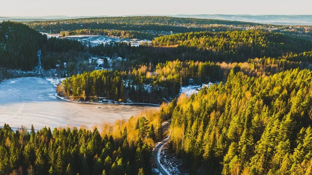 Skog, vann og skogsvei sett ovenfra.