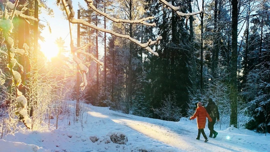 To personer som går tur i marka, i sollys og snø på bakken.