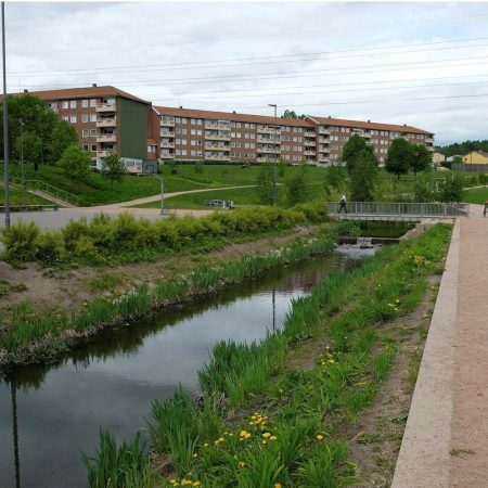 Gå til Klimagassregnskap for arealbrukssektoren i Oslo