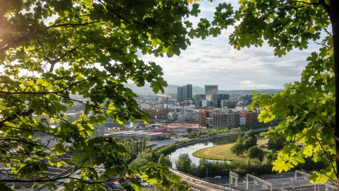 utsikt til Oslo by gjennom grønne løvtrær