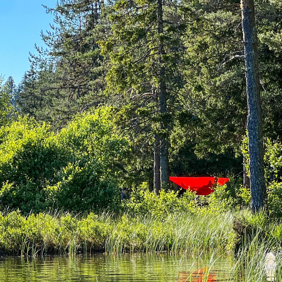 En knallrød hengekøye er hengt opp mellom trær i en frodig skog ved en innsjø, og tilbyr et rolig tilfluktssted etter en forfriskende topptur på en solrik dag.