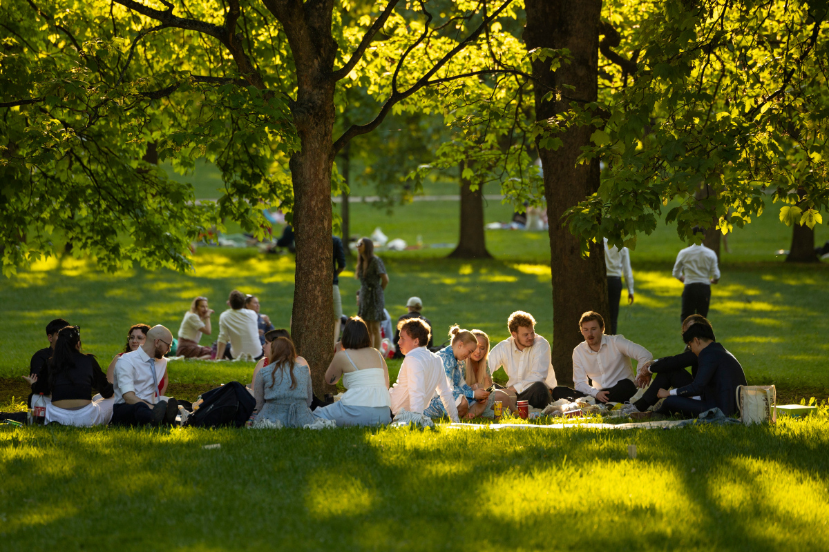 en gruppe unge mennesker sitter på gresset i en park