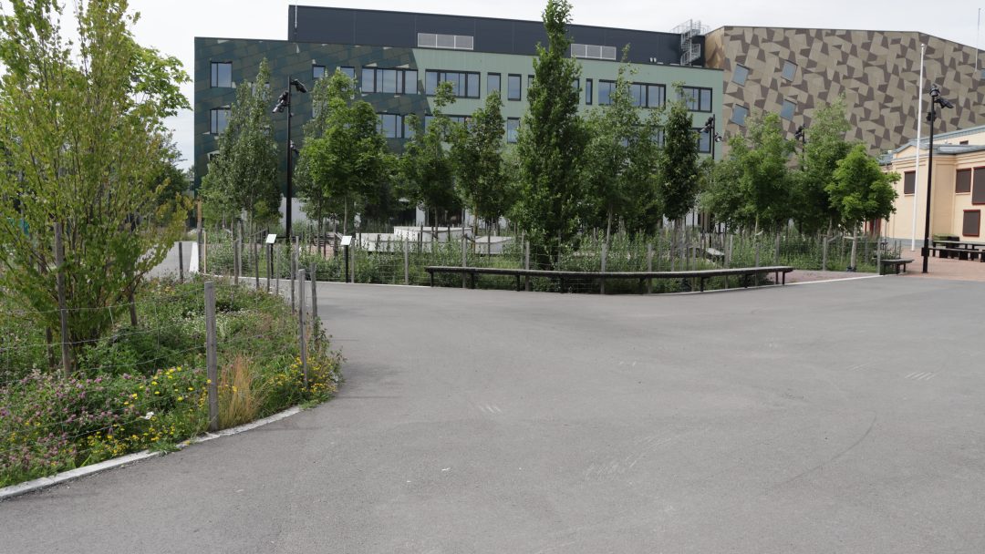 Voldsløkka skole