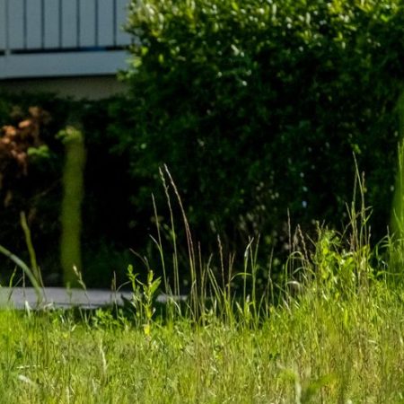 Gå til Oslos klimabudsjett som styringsverktøy