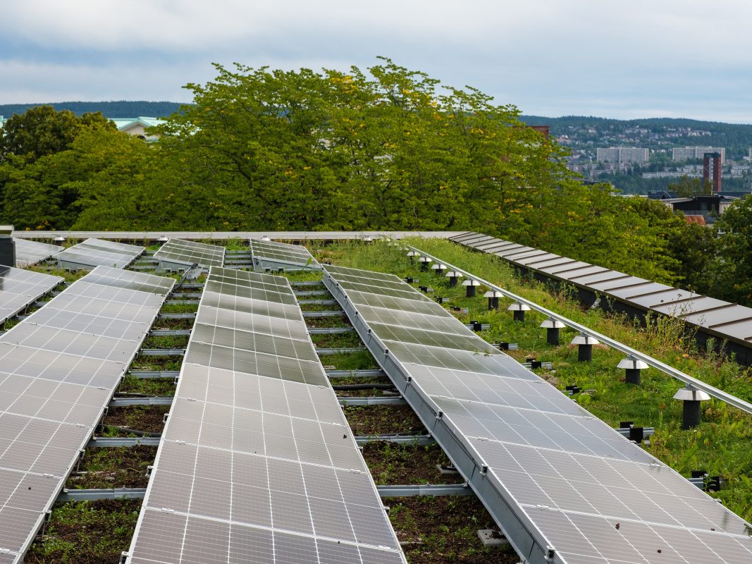 solceller på flatt, grønt tak
