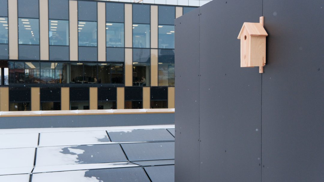 Klimatilskudd - solenergi næringsbygg