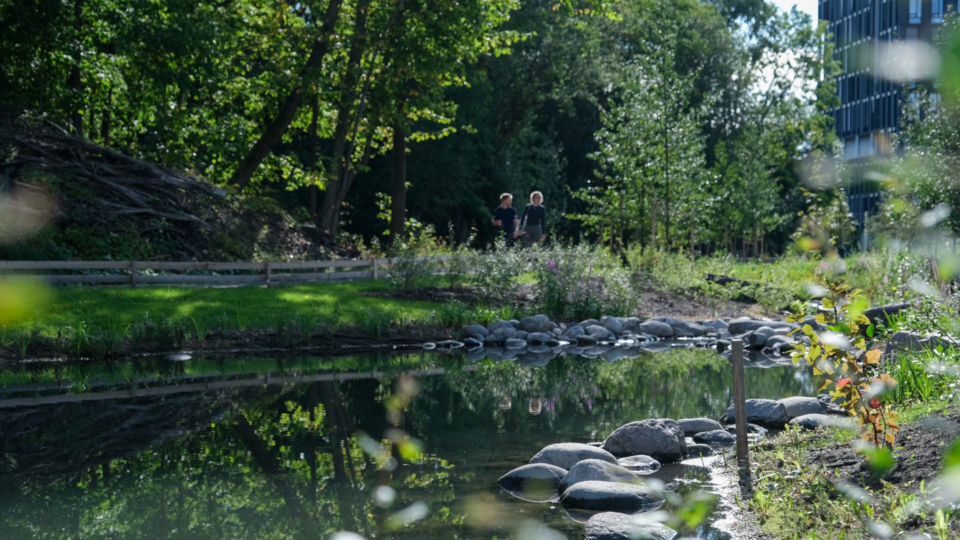 Nyåpnet del av Gaustadbekken ved UiO Livsvitenskapsbygg