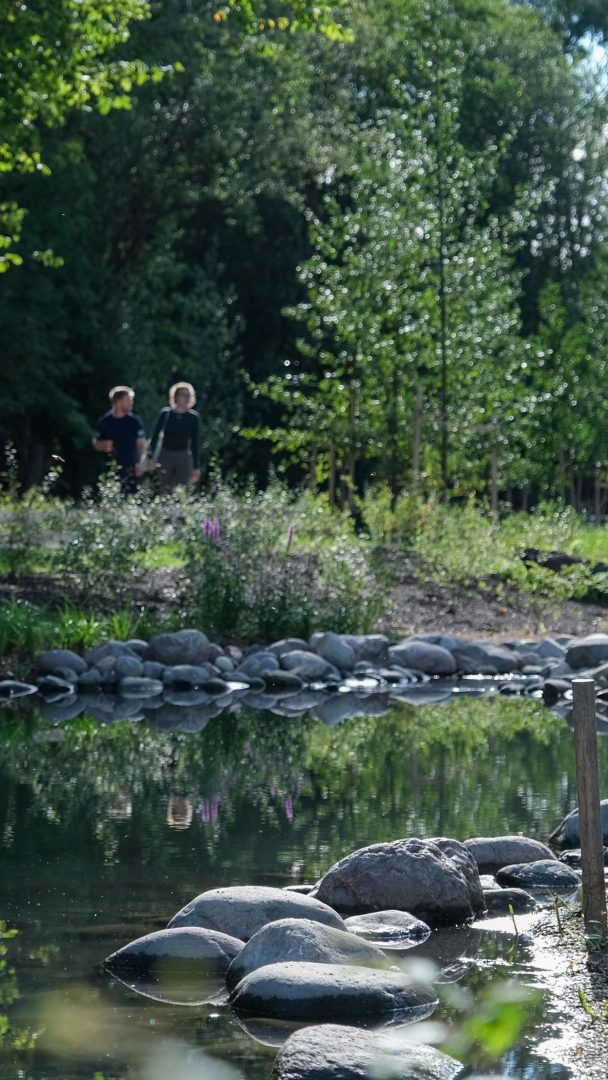 Nyåpnet del av Gaustadbekken ved UiO Livsvitenskapsbygg