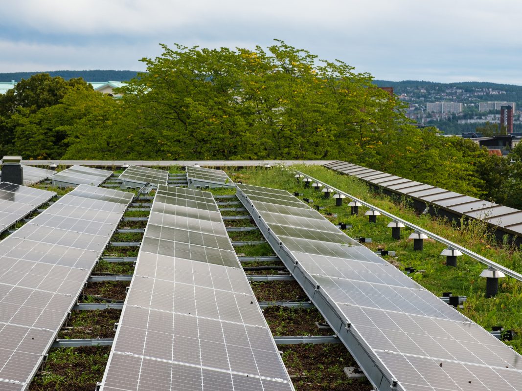 solceller på flatt, grønt tak